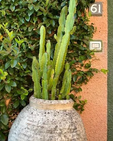 Daire Casa Consuelo