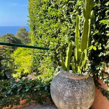 Casa Consuelo *